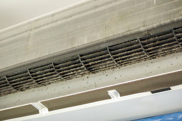 Best Emergency Air Duct Cleaning  in Bard College, NY